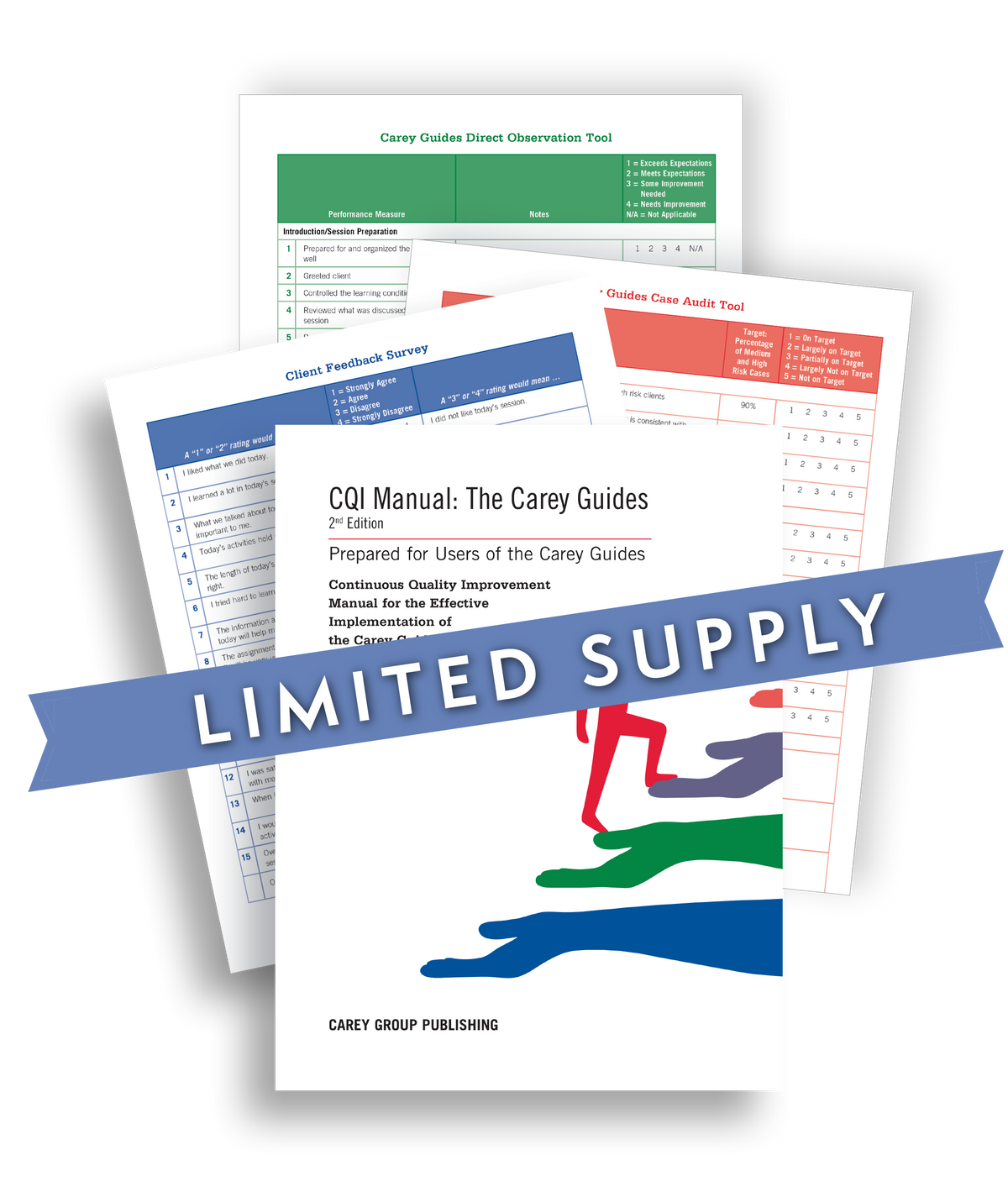 Carey Guides Continuous Quality Improvement (CQI) Kit, Revised